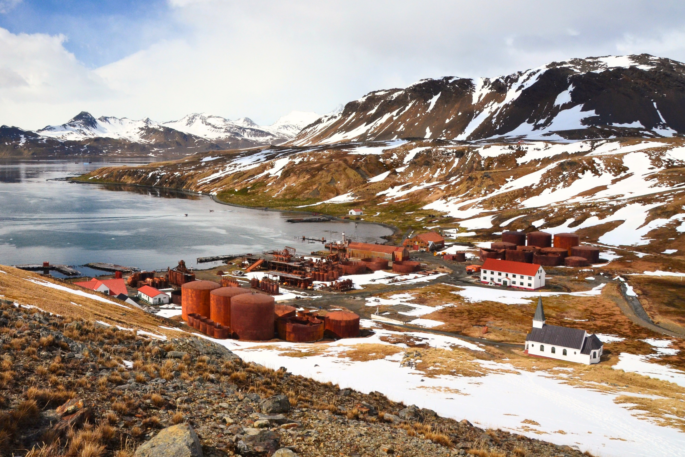 189 grytviken.webp